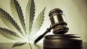 Rapport sur les impacts et conséquences de la consommation cannabis sur les milieux de  travail (Québec)